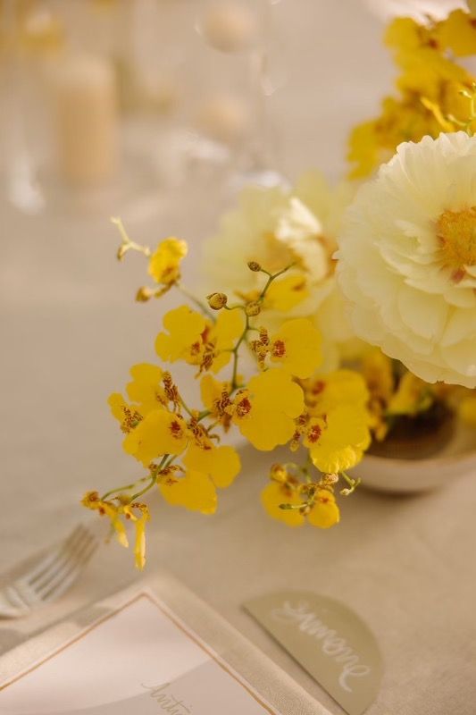 Why Choose Tewa Botanica